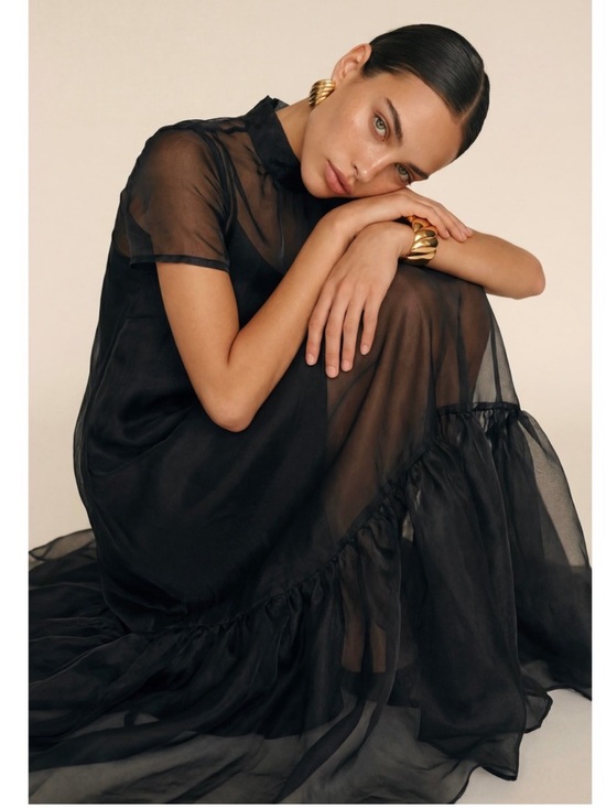 Caara Dresses & Skirts - CAARA Melody High Neck Organza Tie Neck Tiered Hem Dress Black